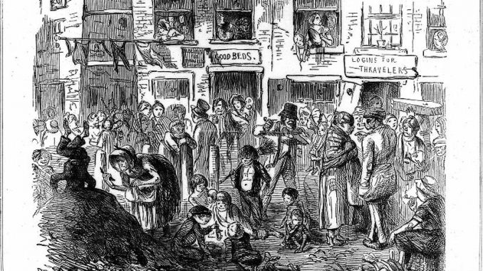 5b Image analysis activities