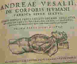 Andreas Vesalius was an anatomist during the Renaissance