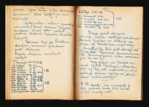 Copy of a section of the diary that is translated below