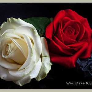 Wars of the Roses. Image by Pipilongstockings, Creative Commons 2.0 licence.