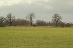 As it is today. The interior of Roman Silchester. The line of trees are growing in the banking upon which the Roman Wall was built. Photo is taken from the centre of the site.